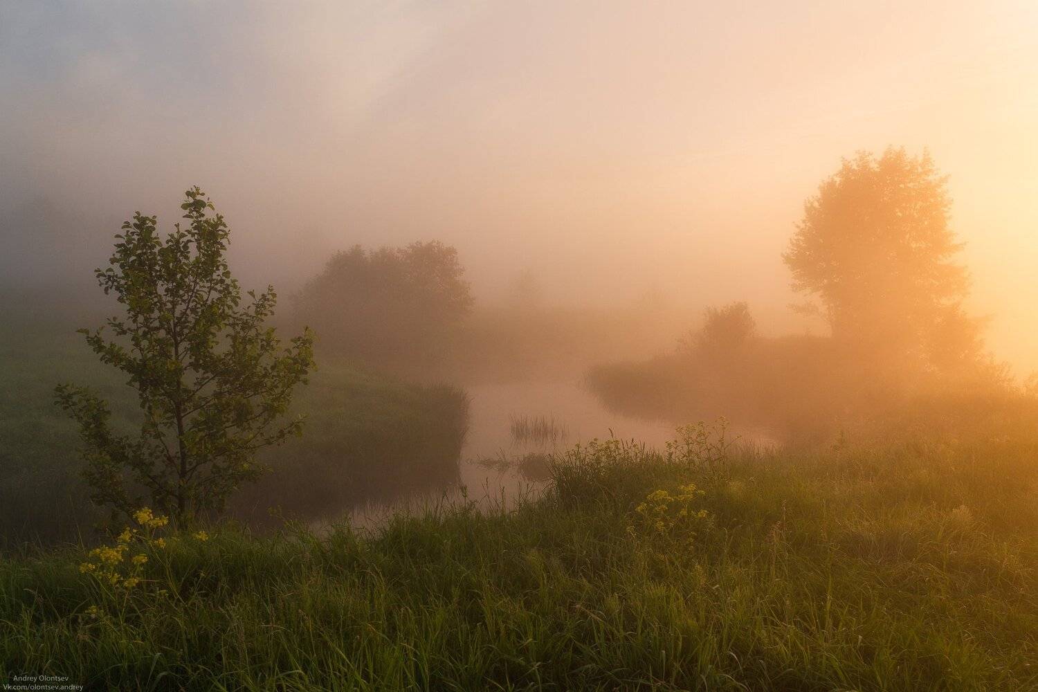солнце, россия, рассвет, природа, подмосковье, погода, пейзажи, пейзаж, отражение, наукоград, красота, дубна, вода, весна, weather, water, spring, russia, reflection, naukograd, nature, moscow, landscape, dawn, canon dubna, beauty, Андрей Олонцев