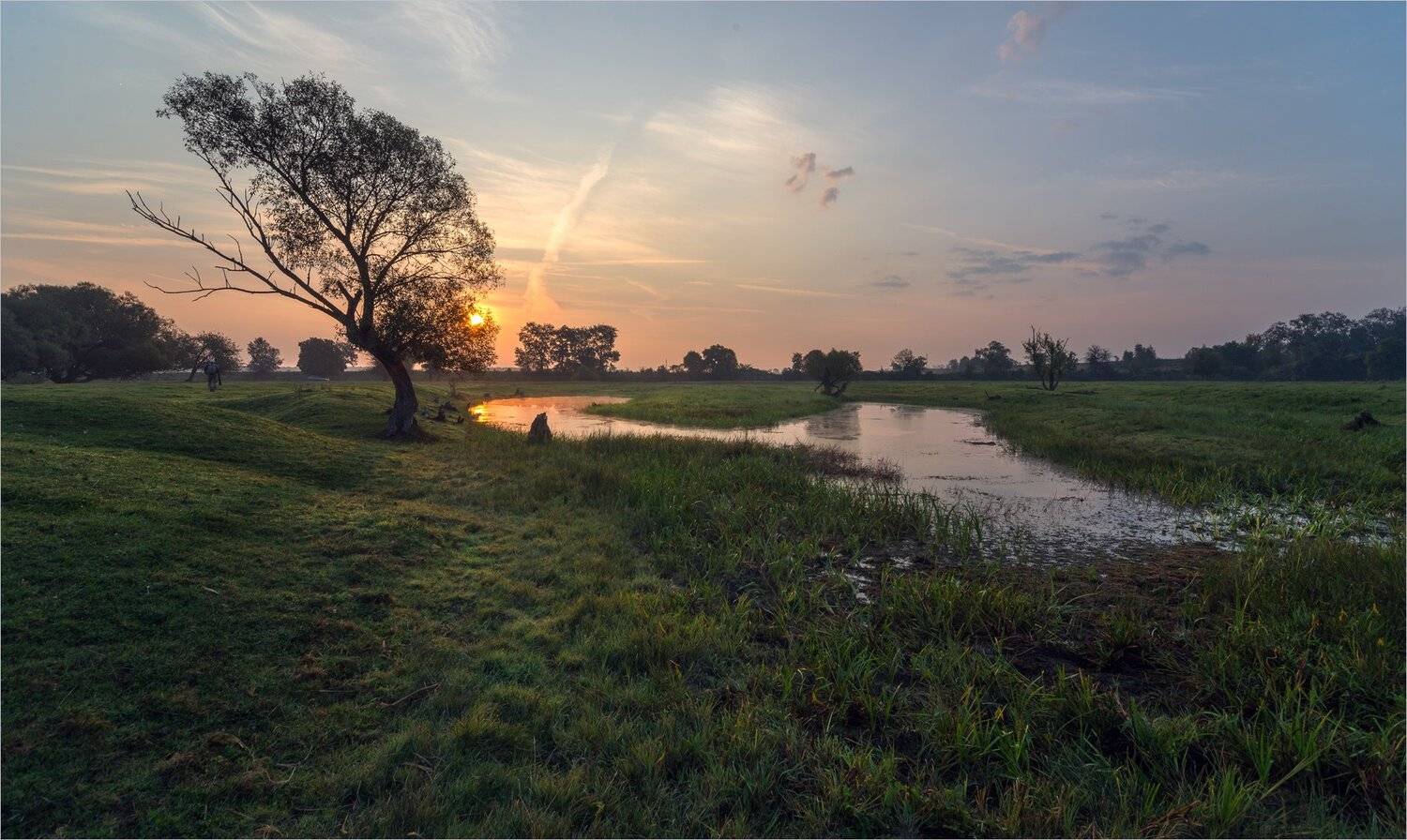 , Николай Шахманцир