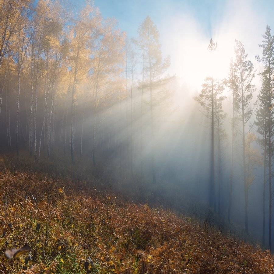 , Павел Глушков