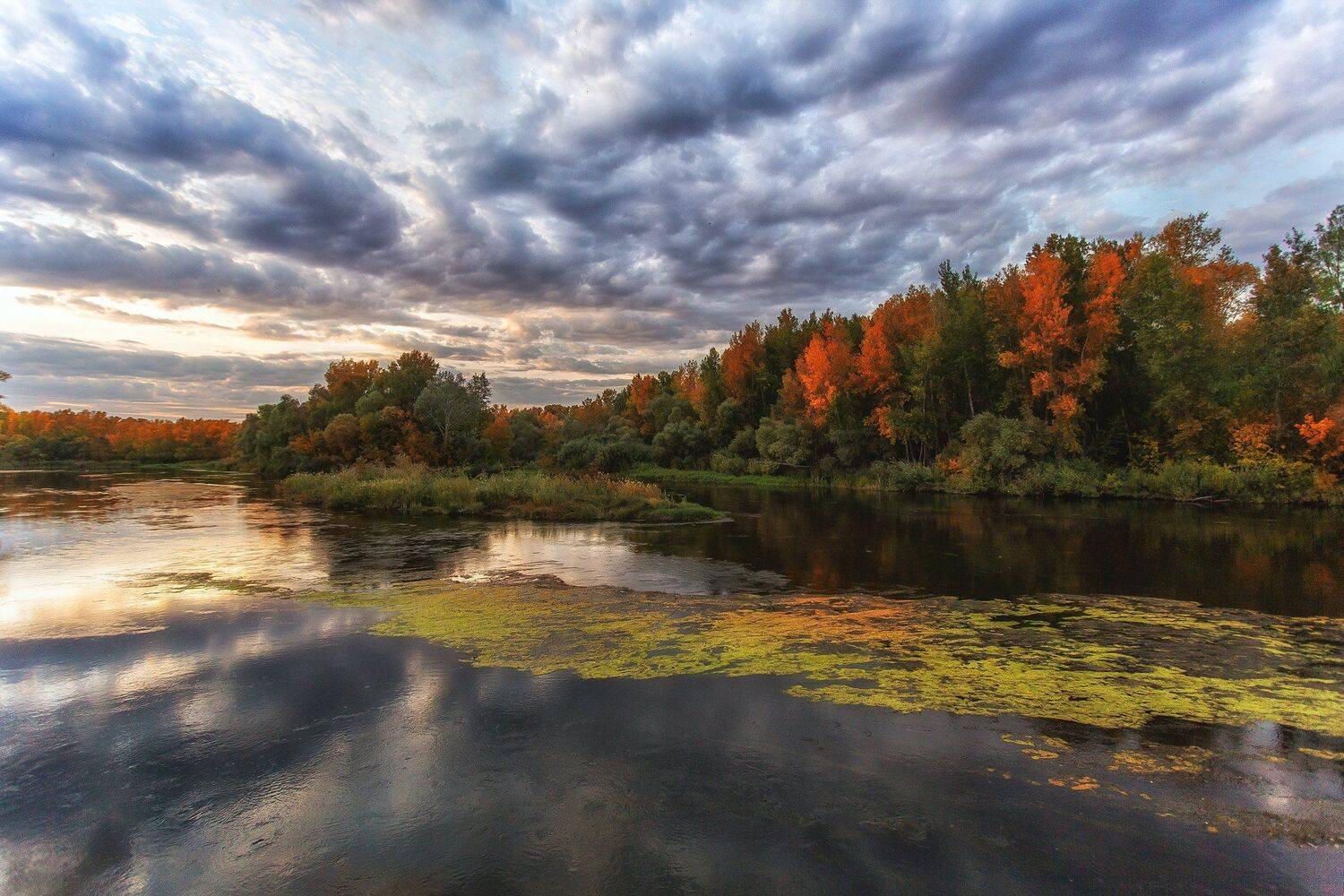 , Павел Сагайдак