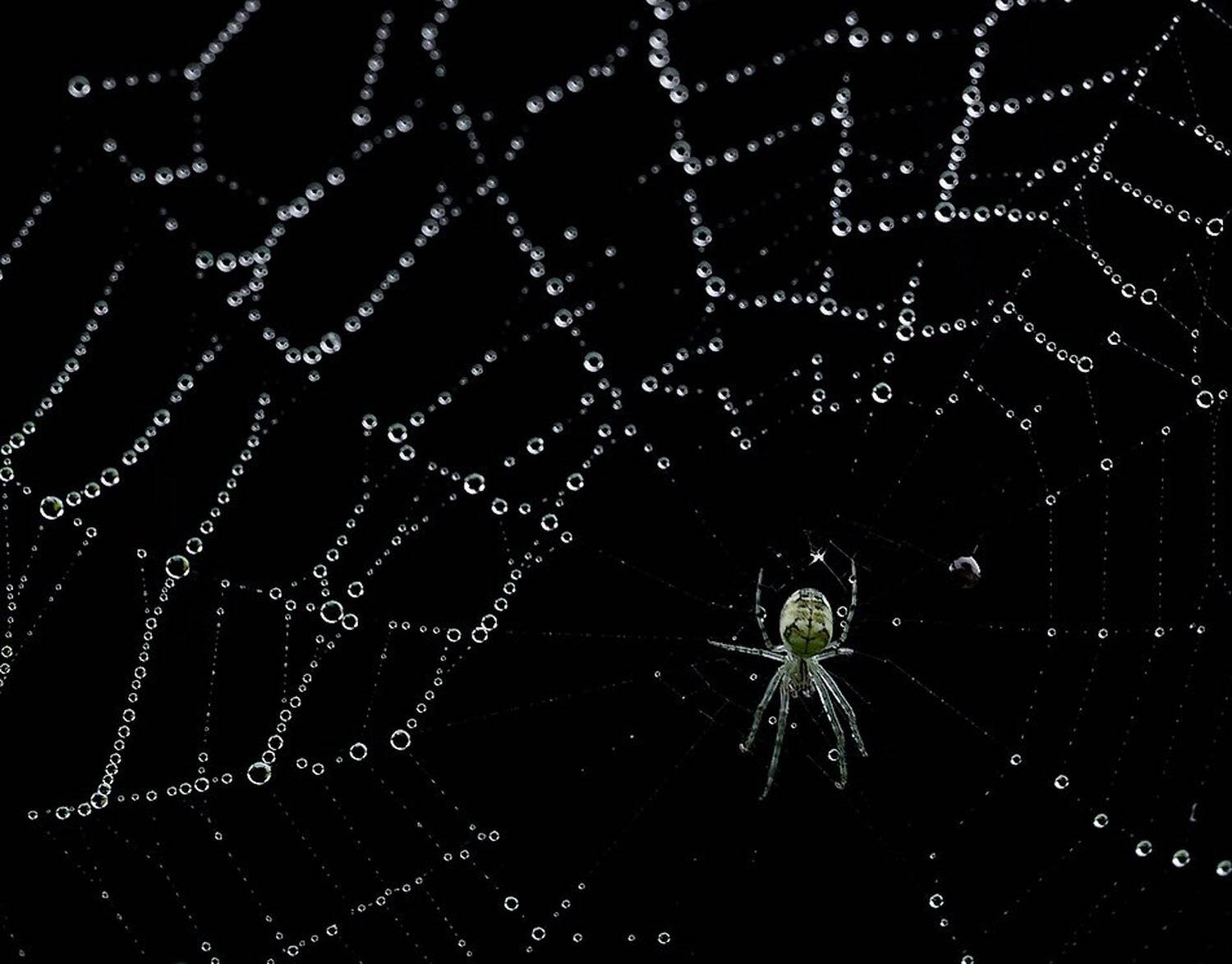 macro,макро, Евгений Лукашук
