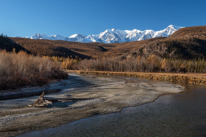 алтай, северо-чуйский, чуя, осень, горы Осеннее утро на Чуе фото превью