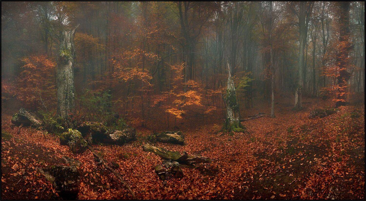 , Владимир Метцгер