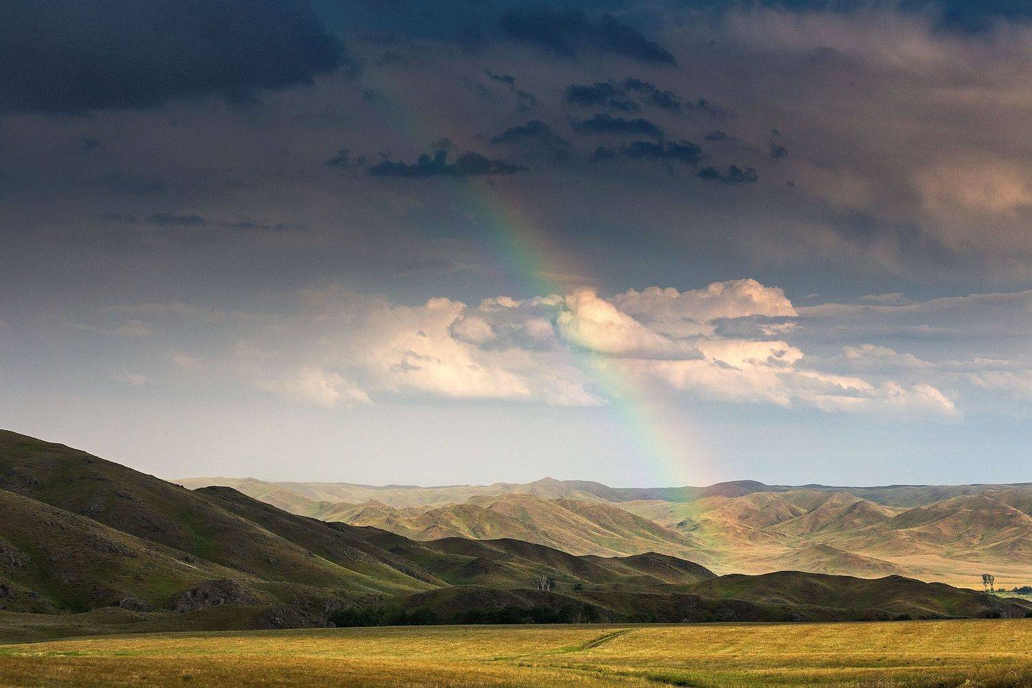 , Качурин Алексей