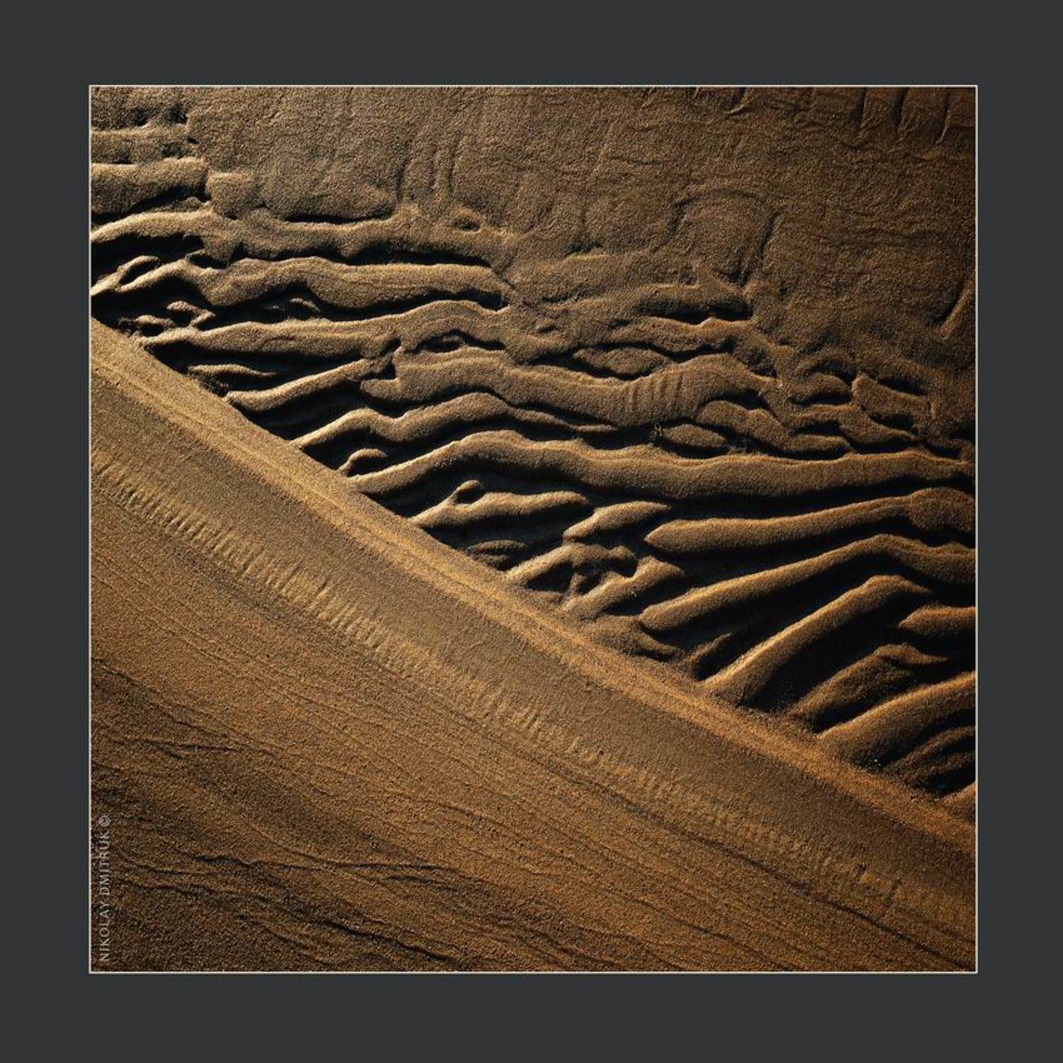 без, категории, николай дмитрук