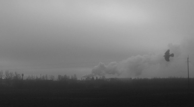 Туман фото превью