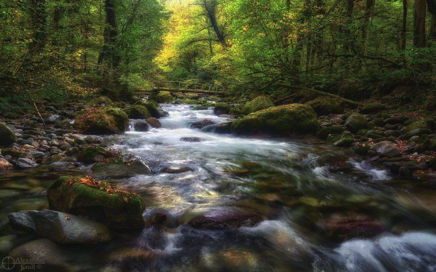 , Александр Круль