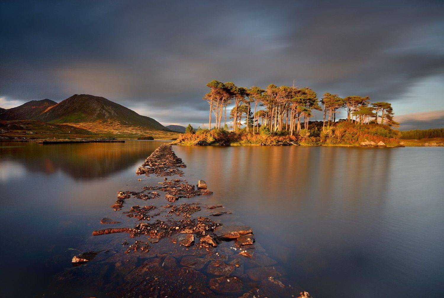 , Grzegorz Kaczmarek