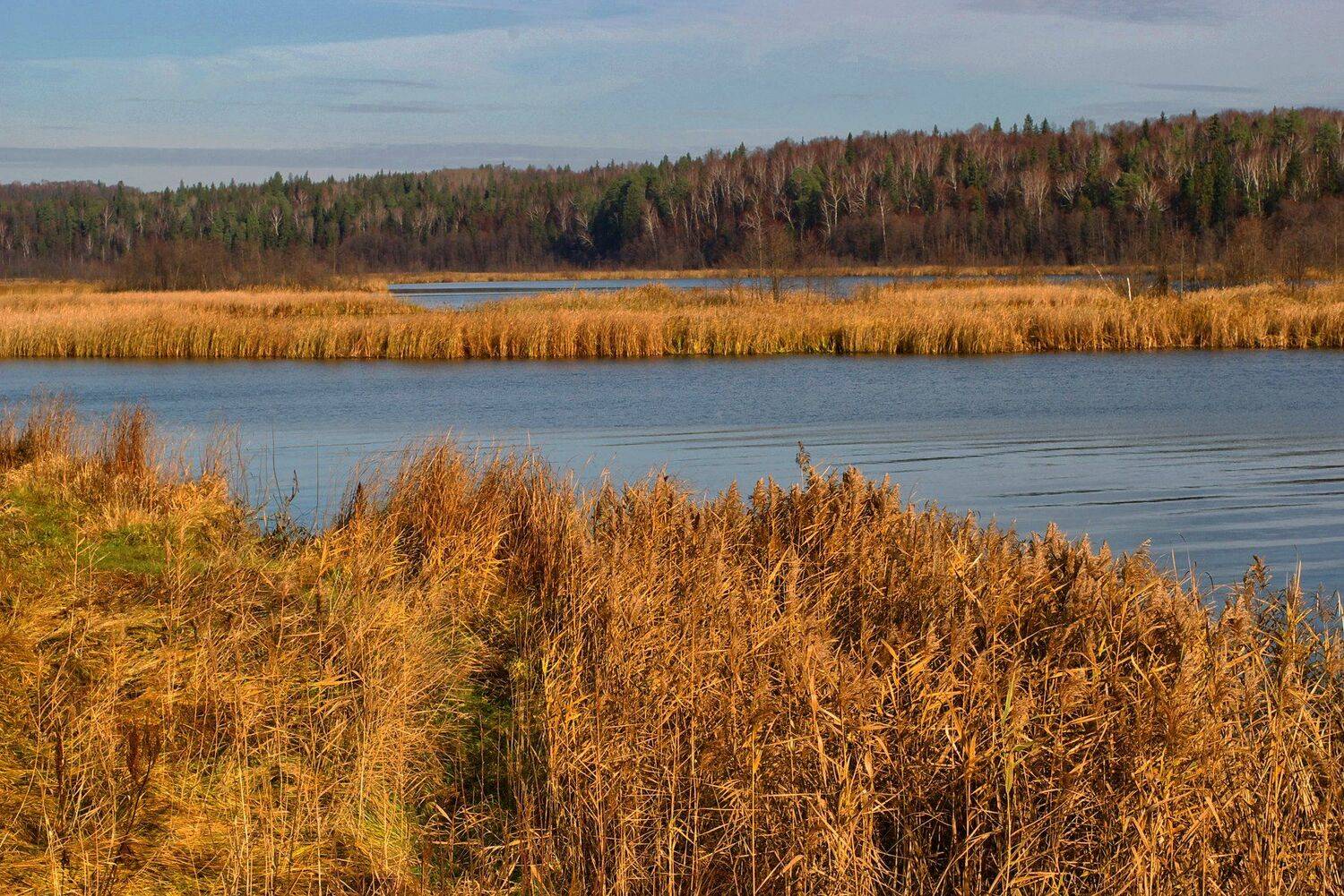 , Павел Мартюшев