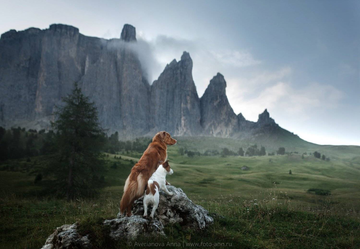 , Анна Аверьянова