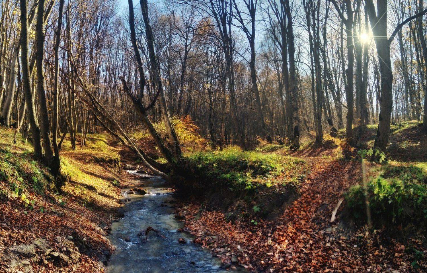 ставрополь, утро, осень,лес, Михаил  Пилипенко