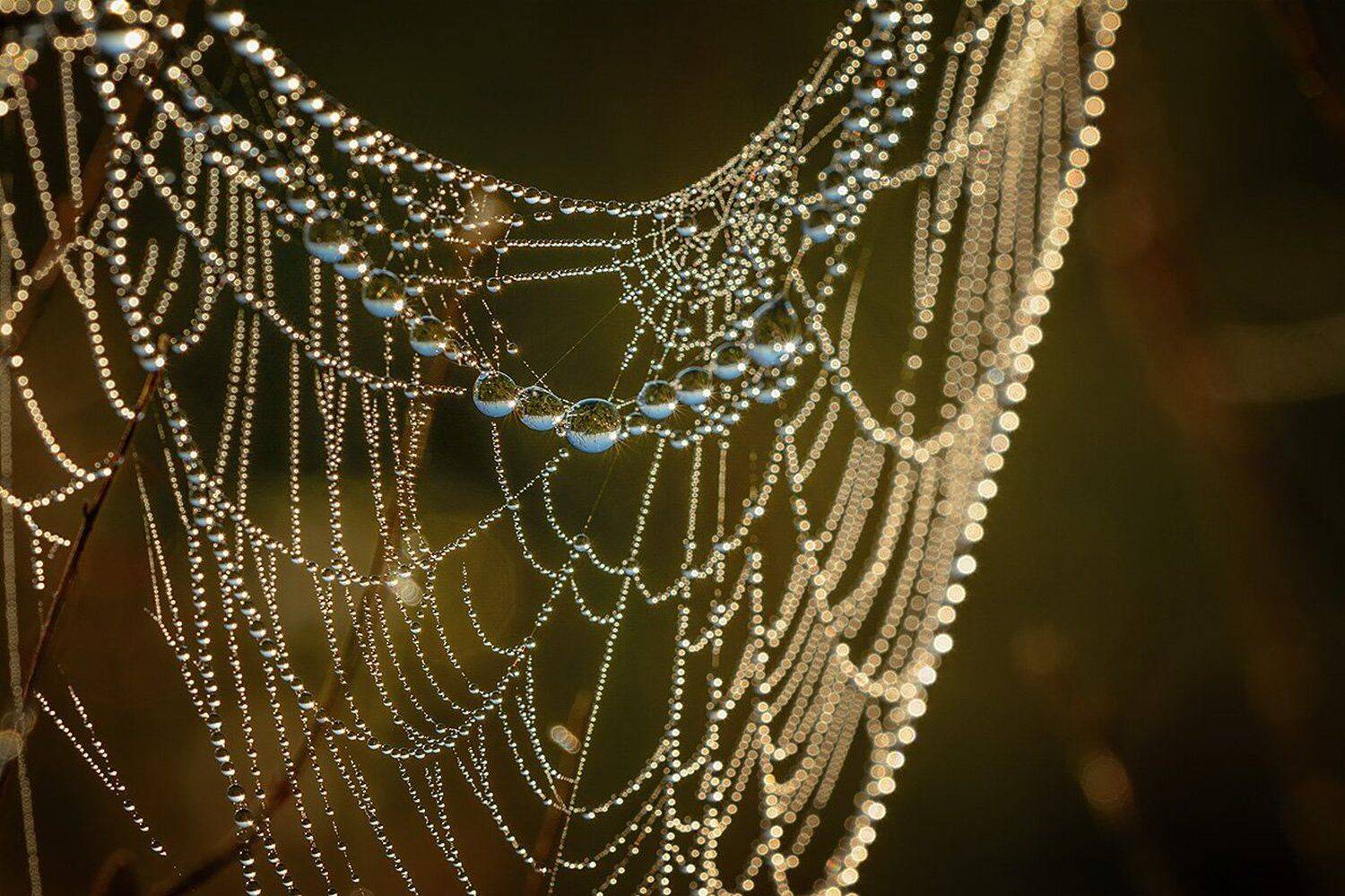 , Анатолий Зверев