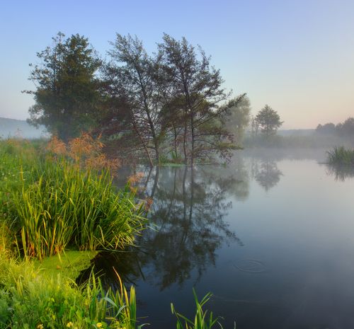 Утро на реке