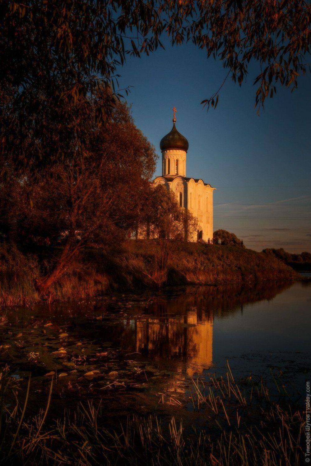 , Тимофей Шутов