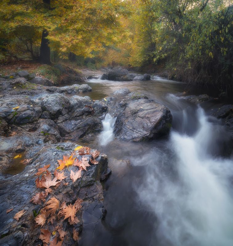 Есен фото превью