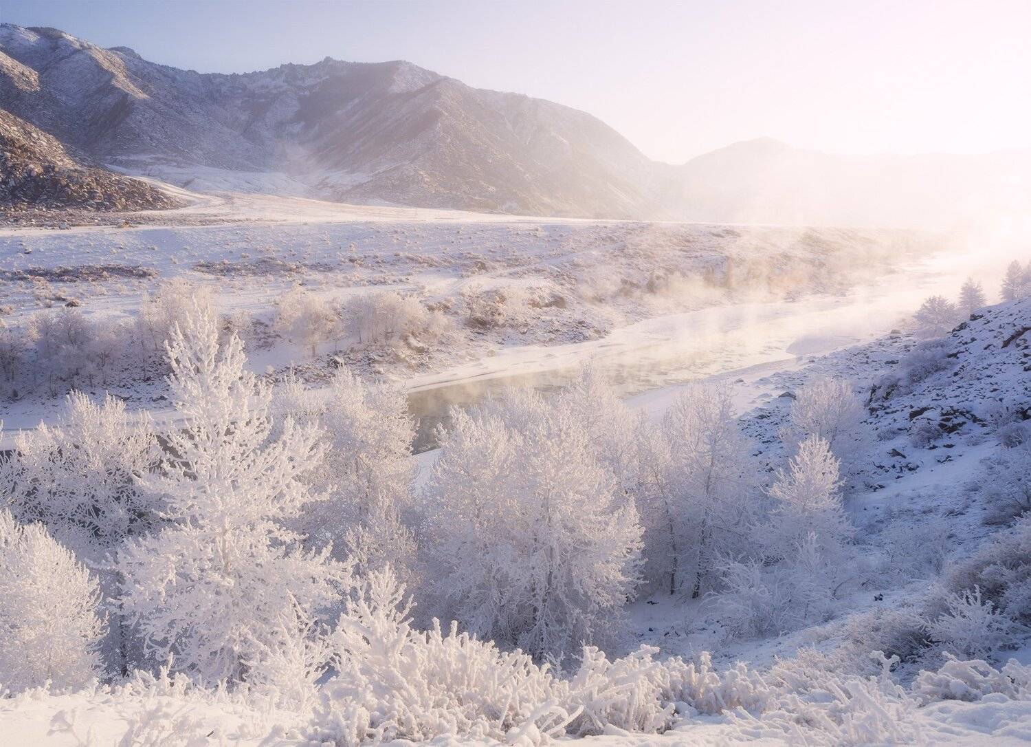 , Лещёнок Александр
