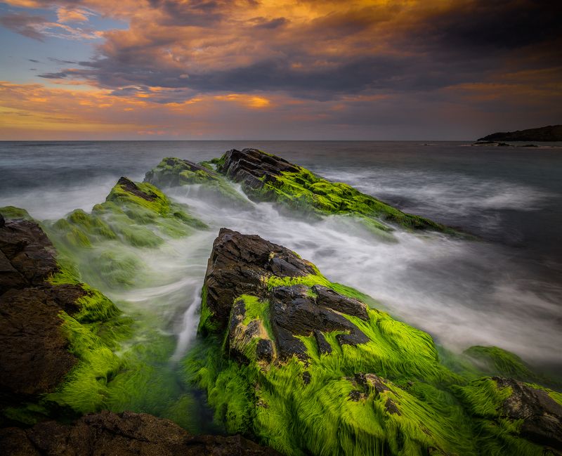 Facing the storm фото превью