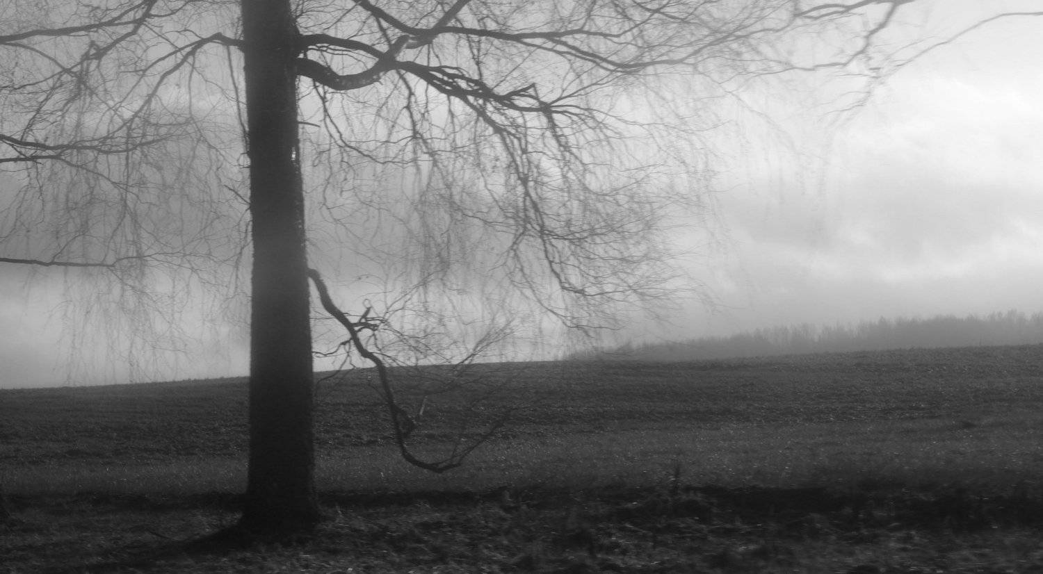 , Артем Картавцов