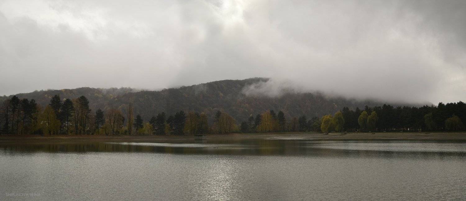 , Шипунова Ирина