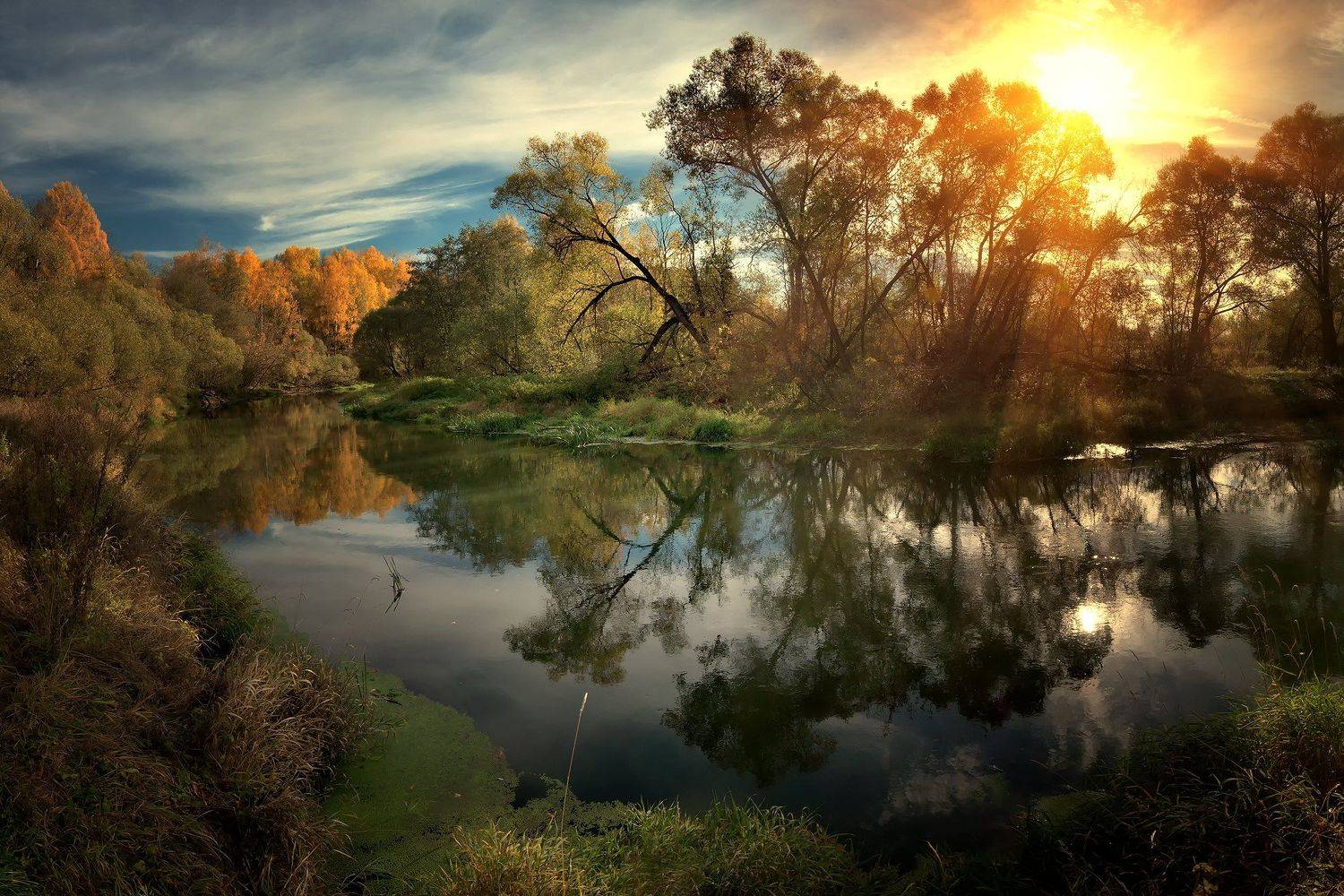 лес, природа, пейзаж, осень, река, вода, ручей, подмосковье, Алексей Никонов