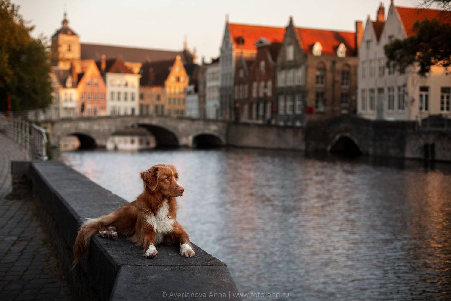 , Анна Аверьянова