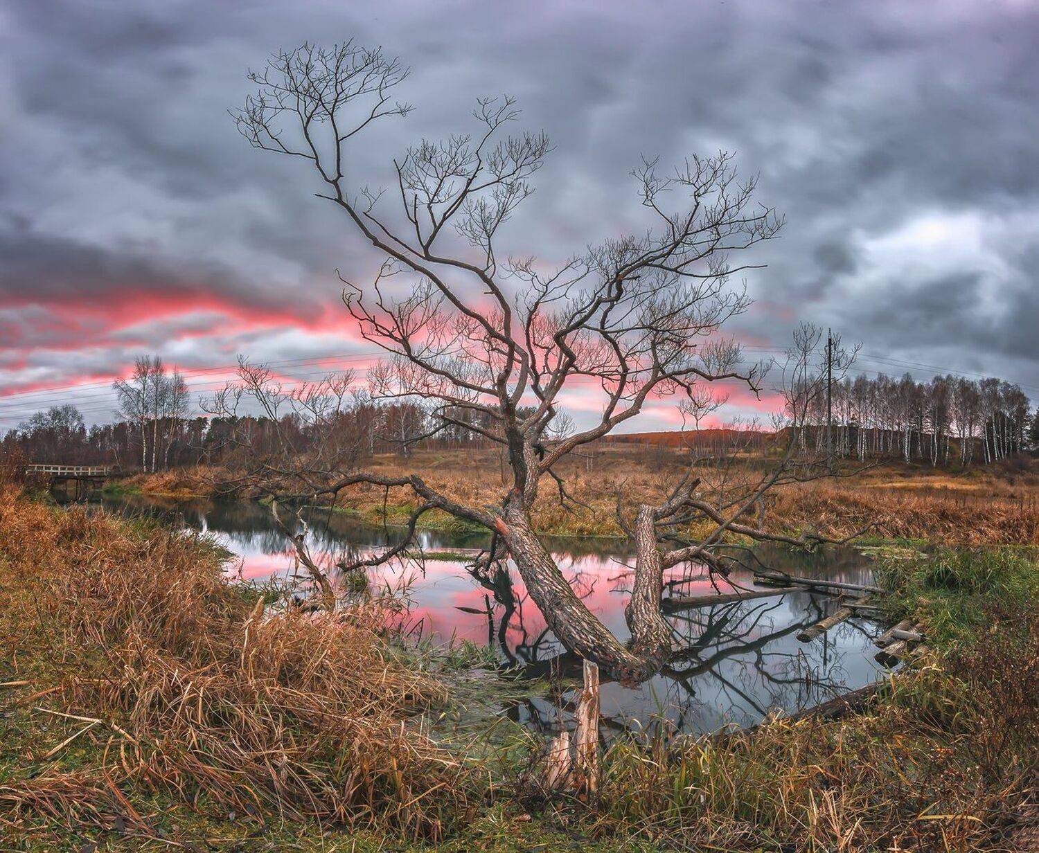 , Николай Андреев