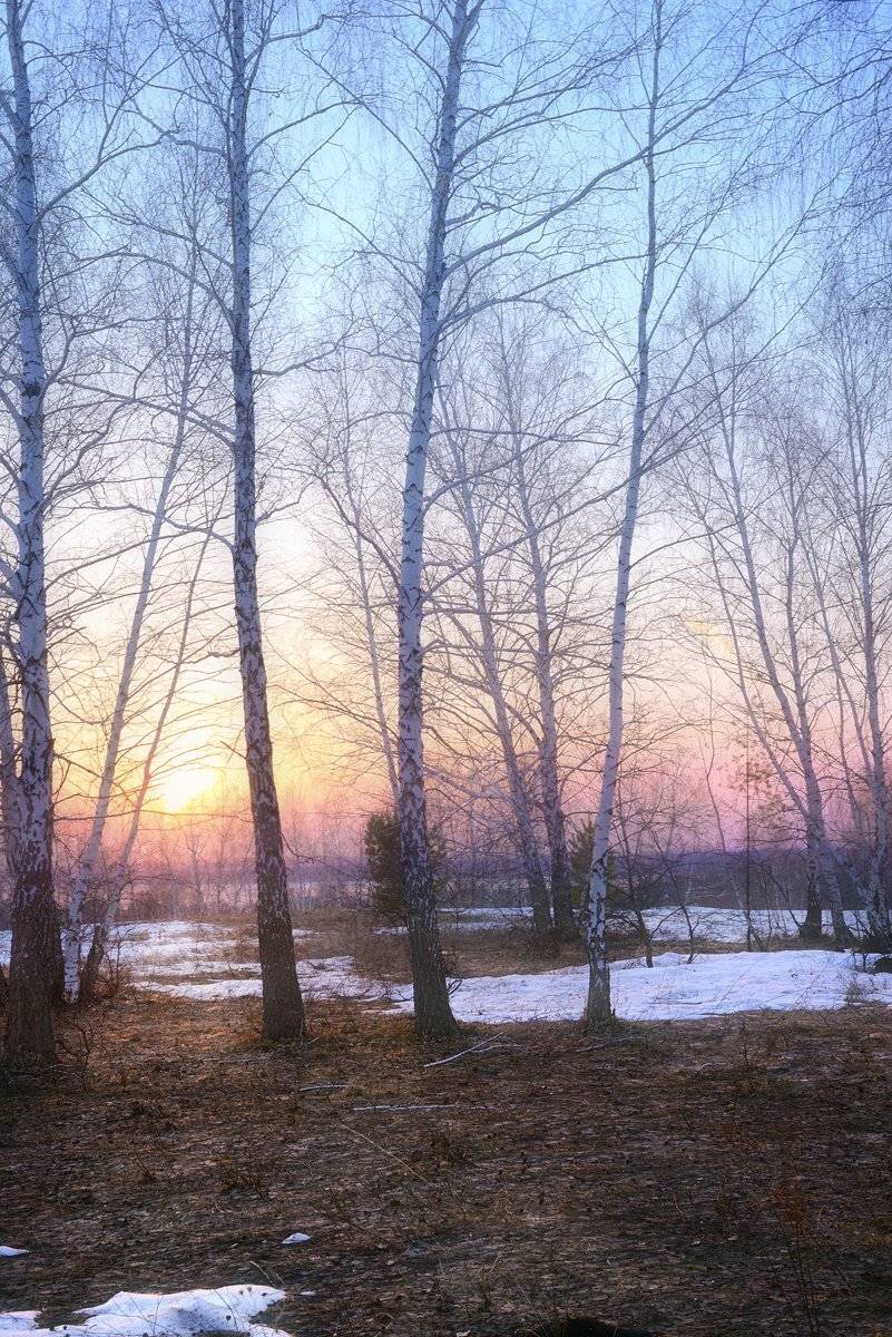 весна, Александр Тормосин