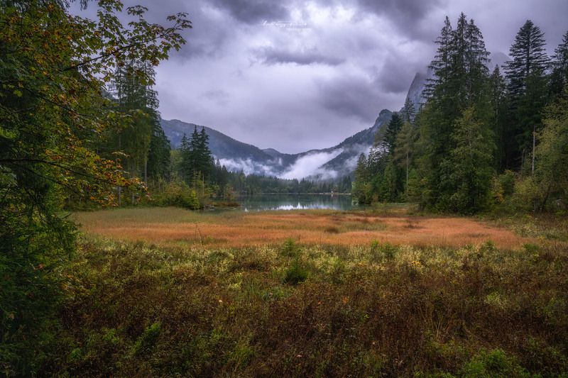 autumn, bavaria, beach, berchtesgaden, calm lake, calmness, europe, fall, fall colours, flags, fog, foggy, forest, germany, grass, green, harmony, hintersee, lake, late summer, marsh, marsh land, morning, mountain range, mountains, nature, orange, outdoor In the Footsteps of the Masters фото превью