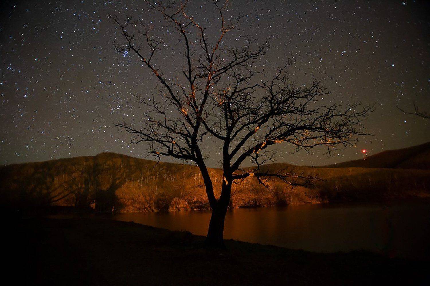 , Дмитрий Рудаков