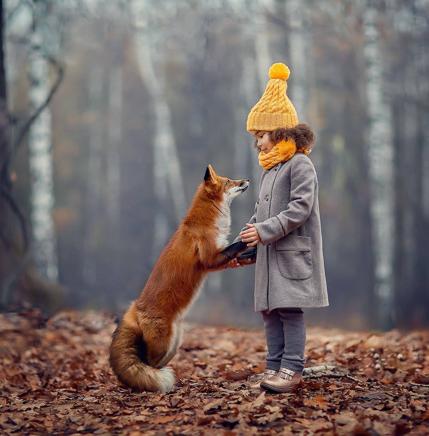 , Екатерина Белоножкина