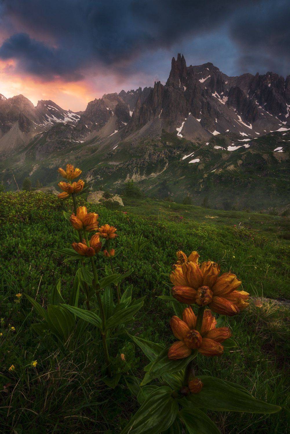 #safarphoto, #france, #turism, #photo, #tour, #epic, #landscape, #alps, #mountains, #national, #национальный, #парк, #пейзаж, #пейзажная, #фотография, #красиво, #небо, #горы, #фототур, #путешествие, #туризм, #отдых, #рассвет, #франция, Бахышев Сафар