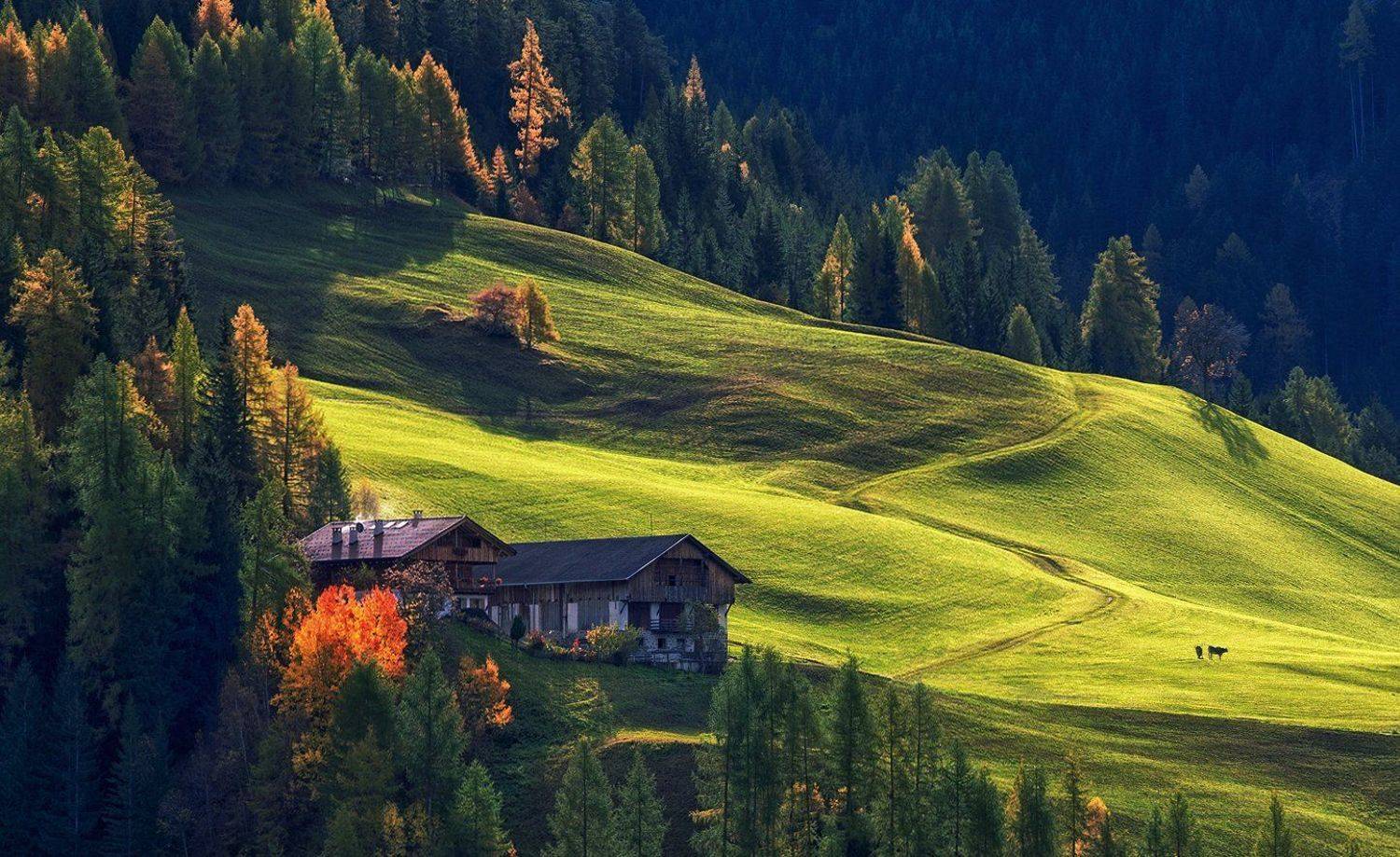 , Сергей Давыдов