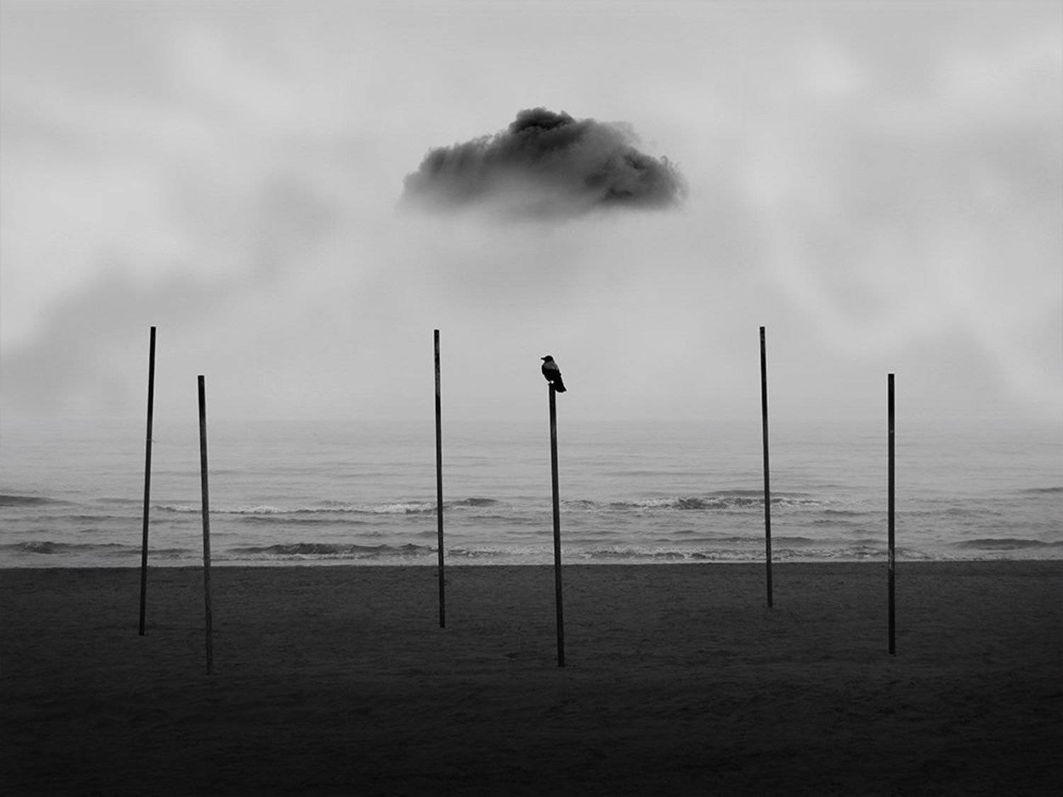 #conceptual #black&white #fineart #art #35photo, Mohammad Yousefi Manesh