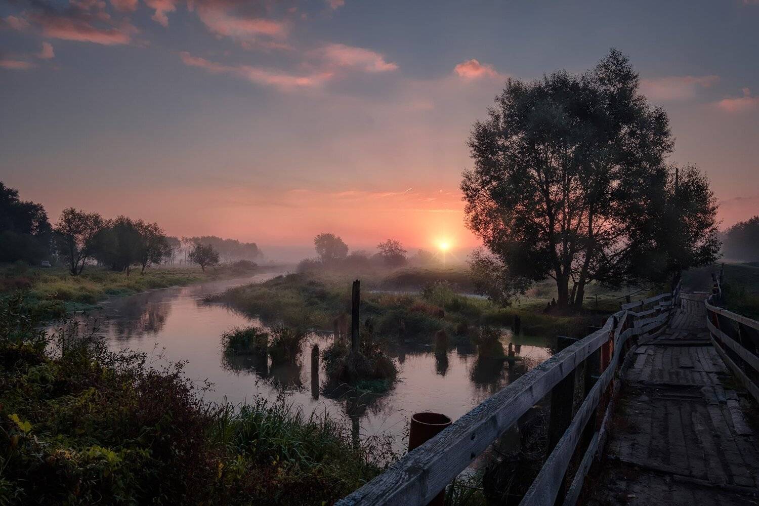 филипповское, пейзаж, туман, мост, мостик, деревянный, утро, рассвет, шерна, река, Андрей Чиж