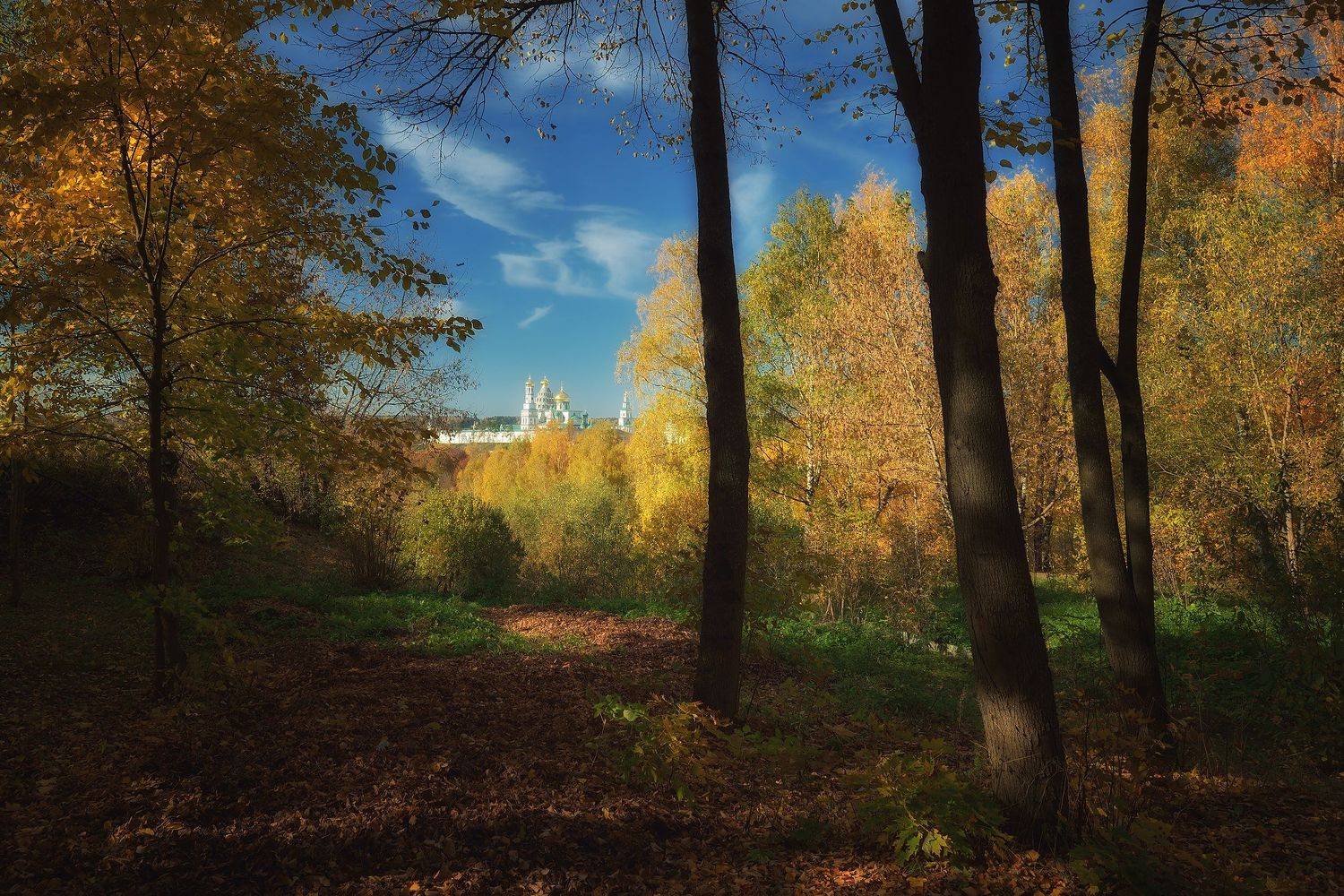 осень, краски, парк, истра, Алексей Никонов