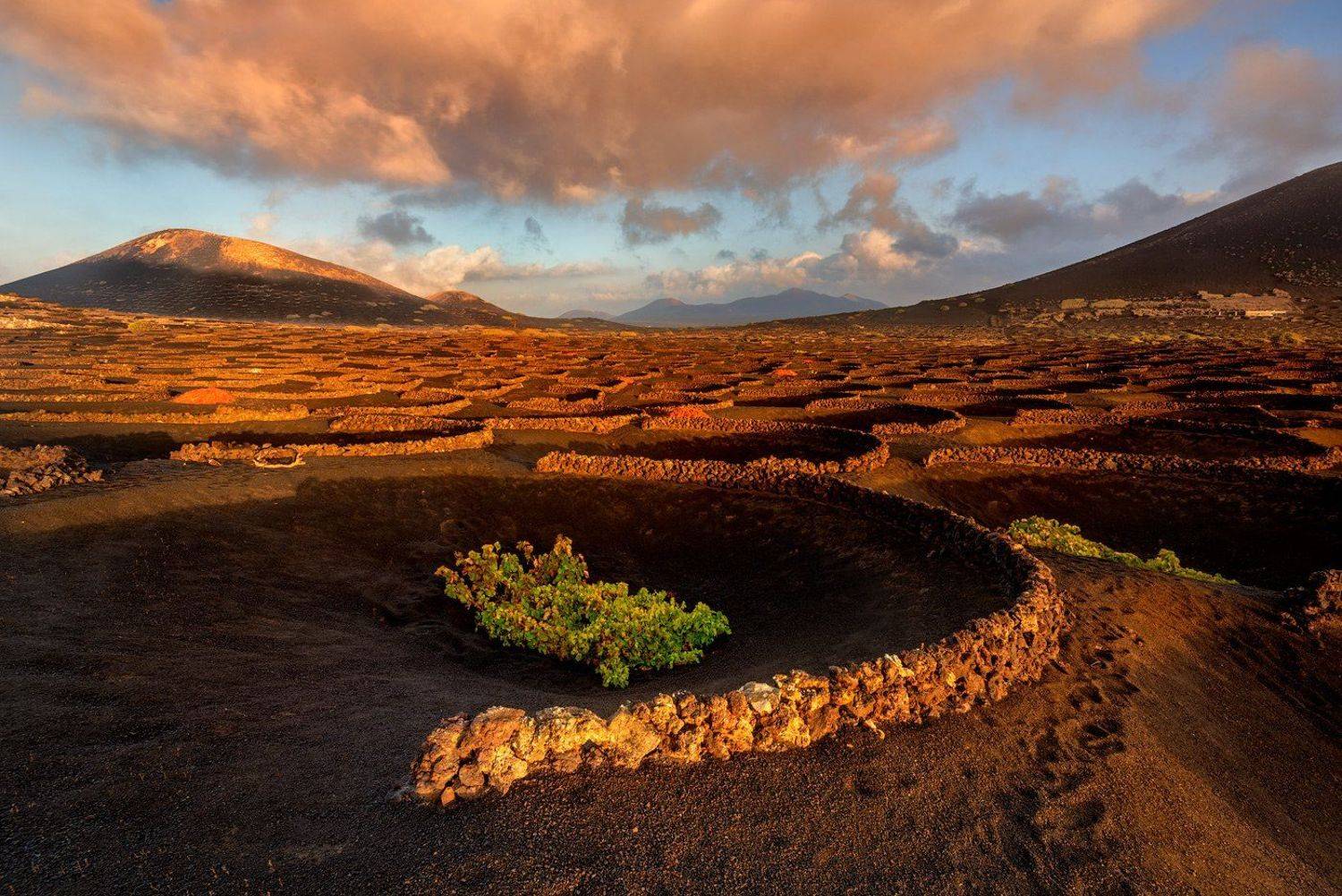 , Grzegorz Kaczmarek