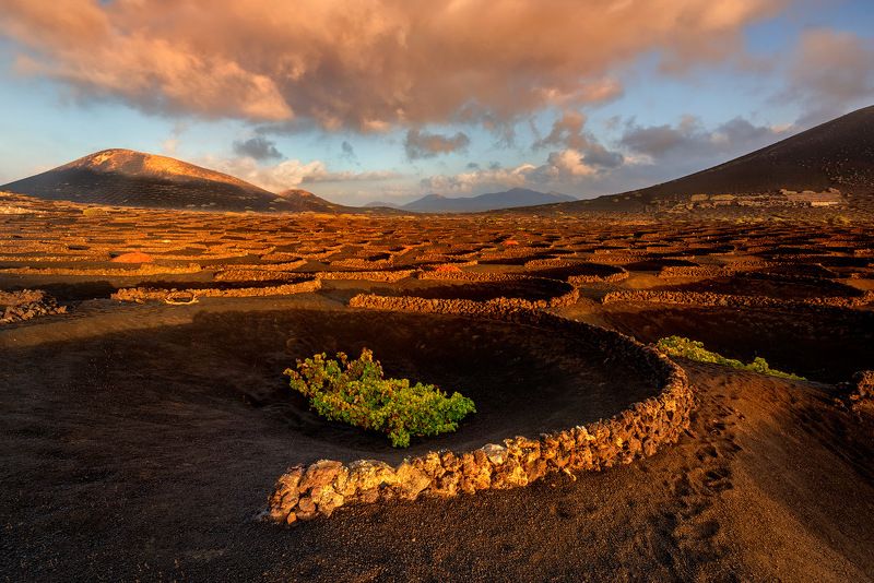 La Geria II фото превью