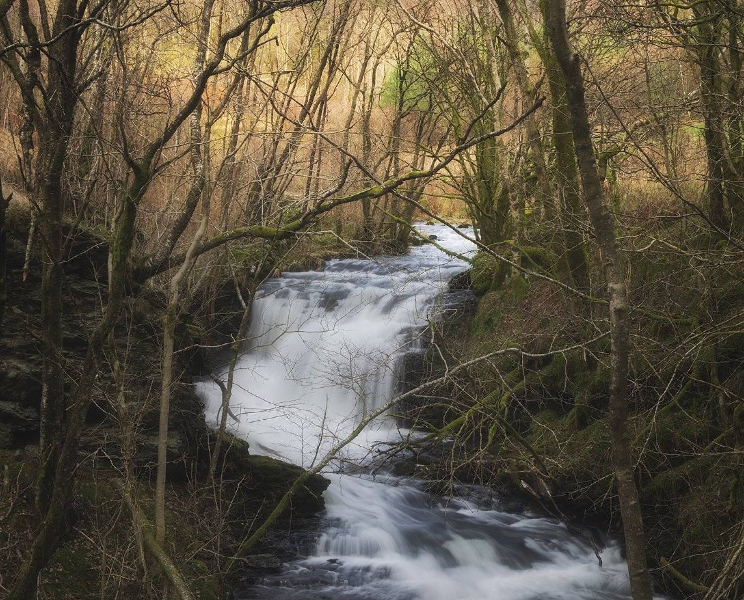 , Justinas Kondrotas