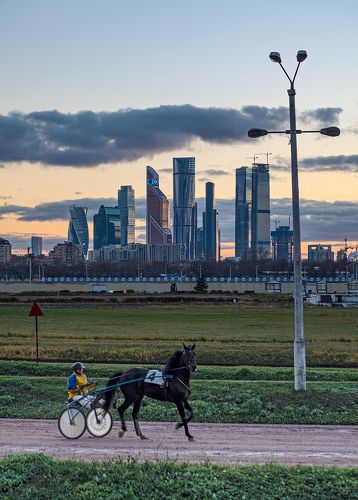 [hippo(moscow city)drone]