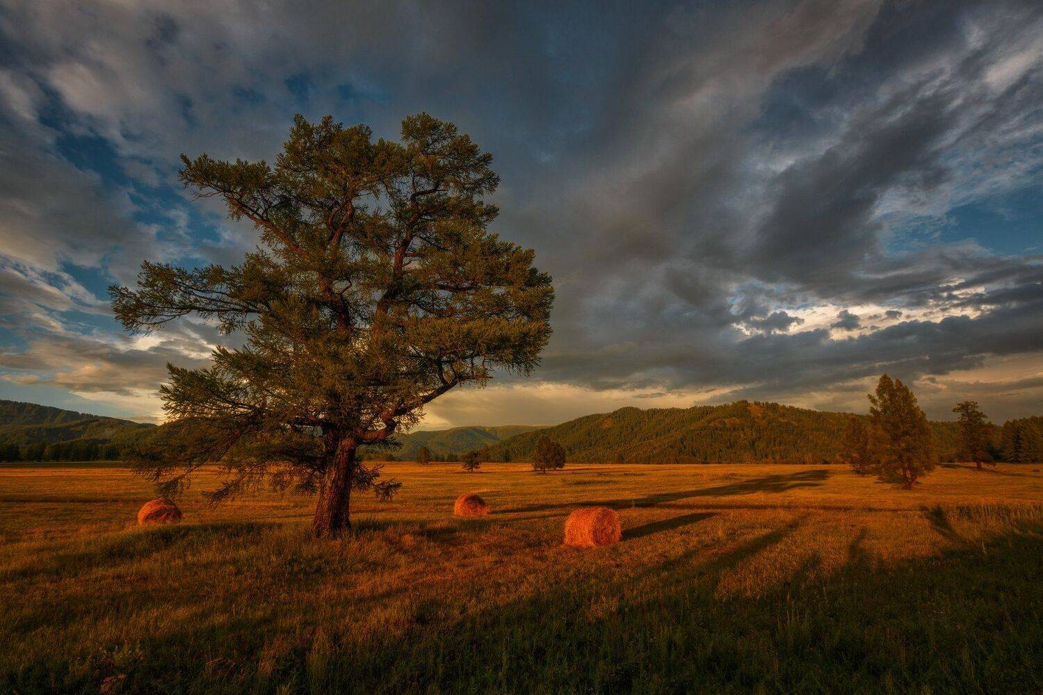 горы, облака, природа, алтай, рассвет, река, путешествие, россия, Шевченко Николай