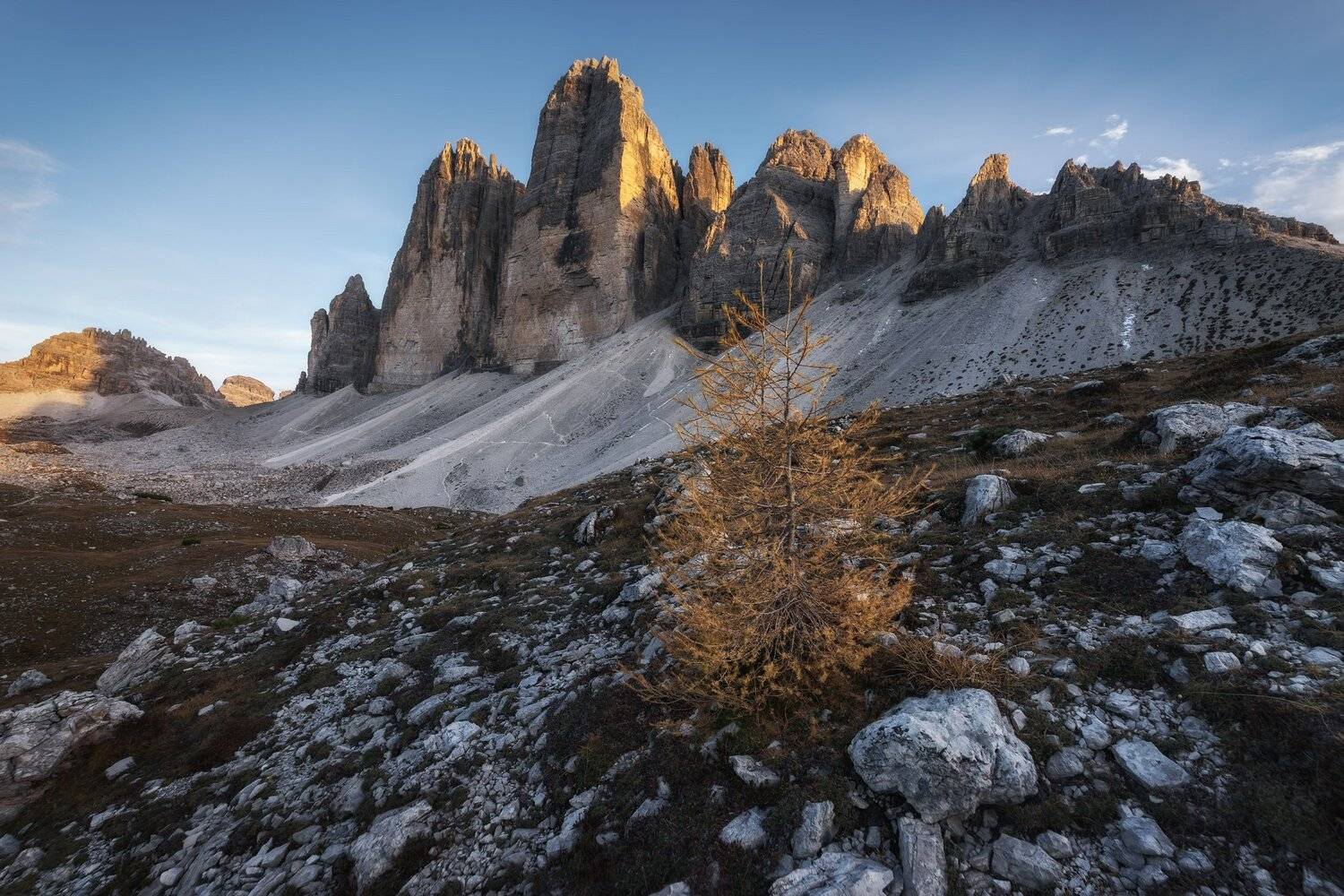 , Михаил Туркеев