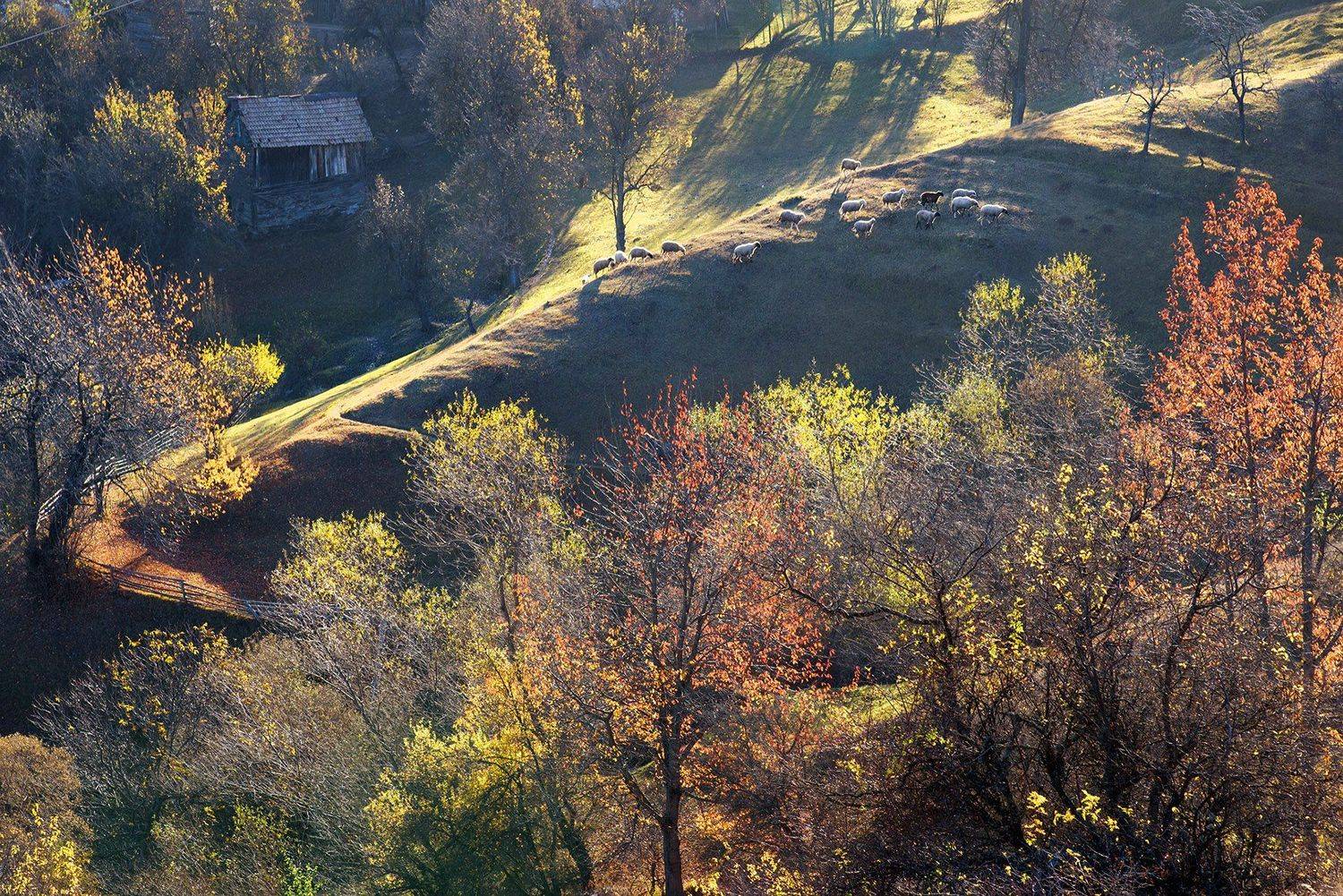rodopi, bulgaria, Albena Andonova-Asa