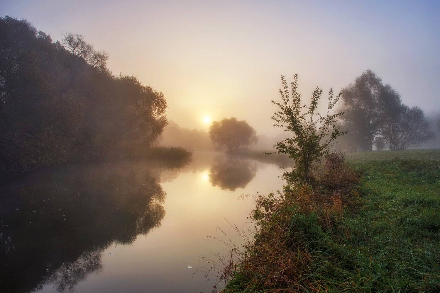 утро, осень, туман, рассвет, свислочь, минск, беларусь, Andrey Kozlov