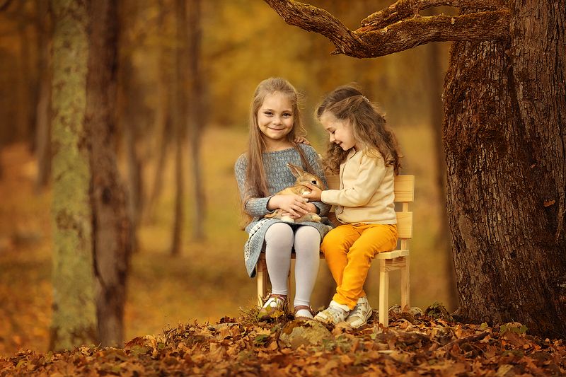 девочки,  детская и семейная фотосессия, детский и семейный фотограф, радость, восторг, счастье, фотосессия, маленькие дети, детское фото, детский фотограф, детский и семейный фотограф ольга францева, детское фото, детская фотосессия, осень, золотая осень Восторг фото превью