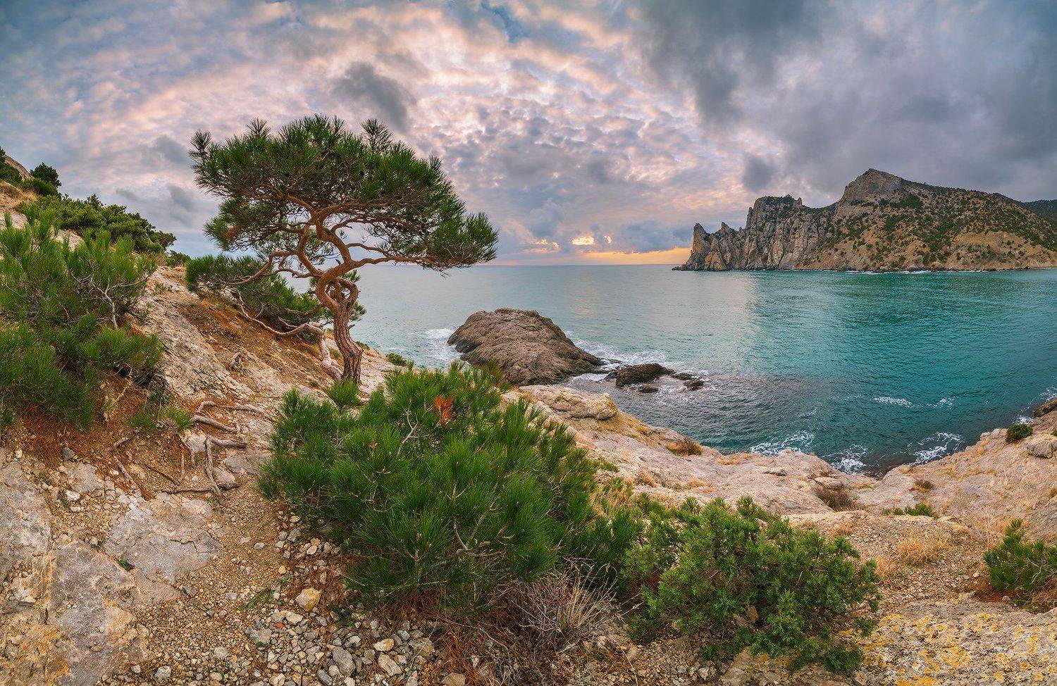 россия крым новый свет вечер, Николай Мысливцев