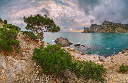 Вечер в Новом свете