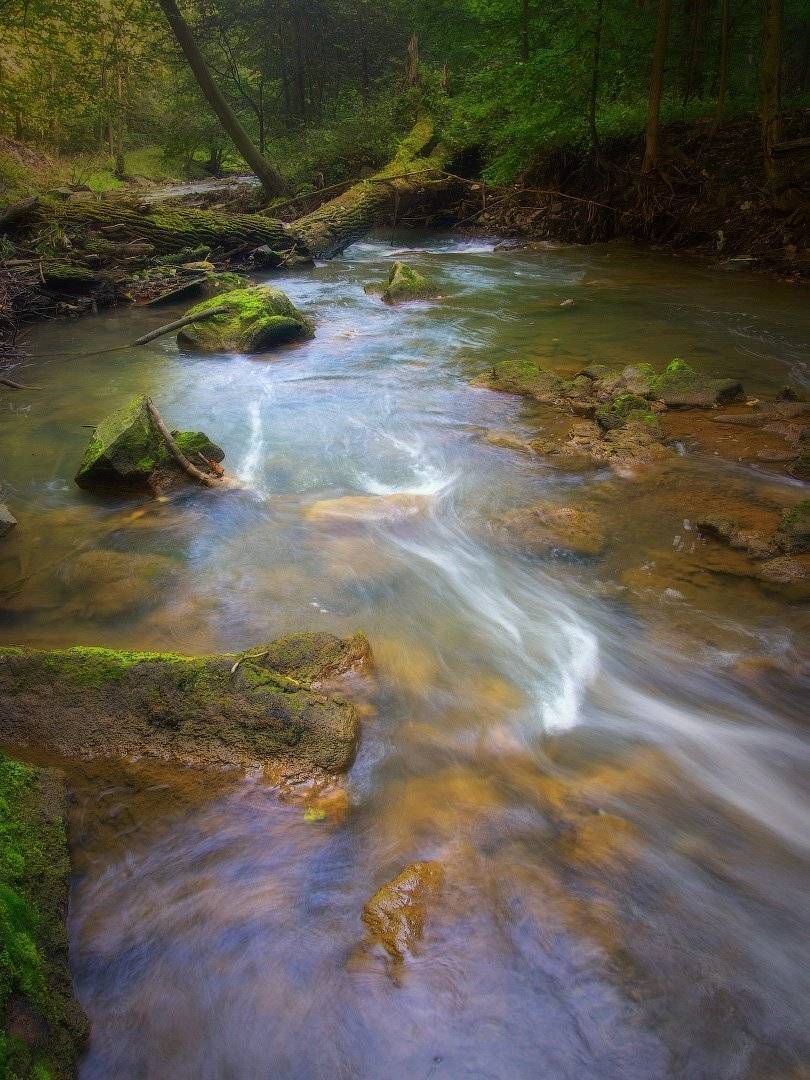 пейзаж, лес, река, польша, landscape, forest, river, poland,olympus, nature, morning, Виктор Тулбанов