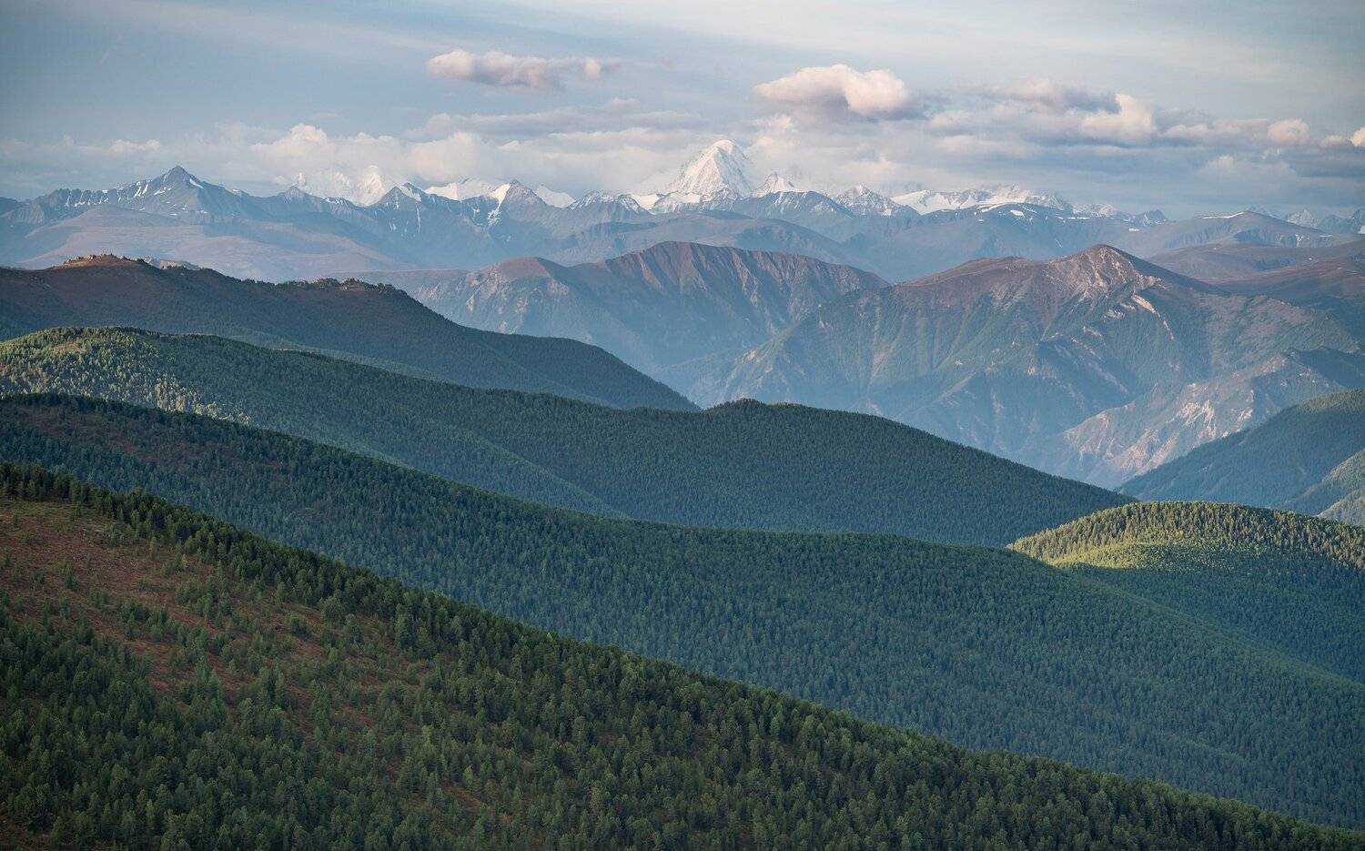 , Константин Дэм