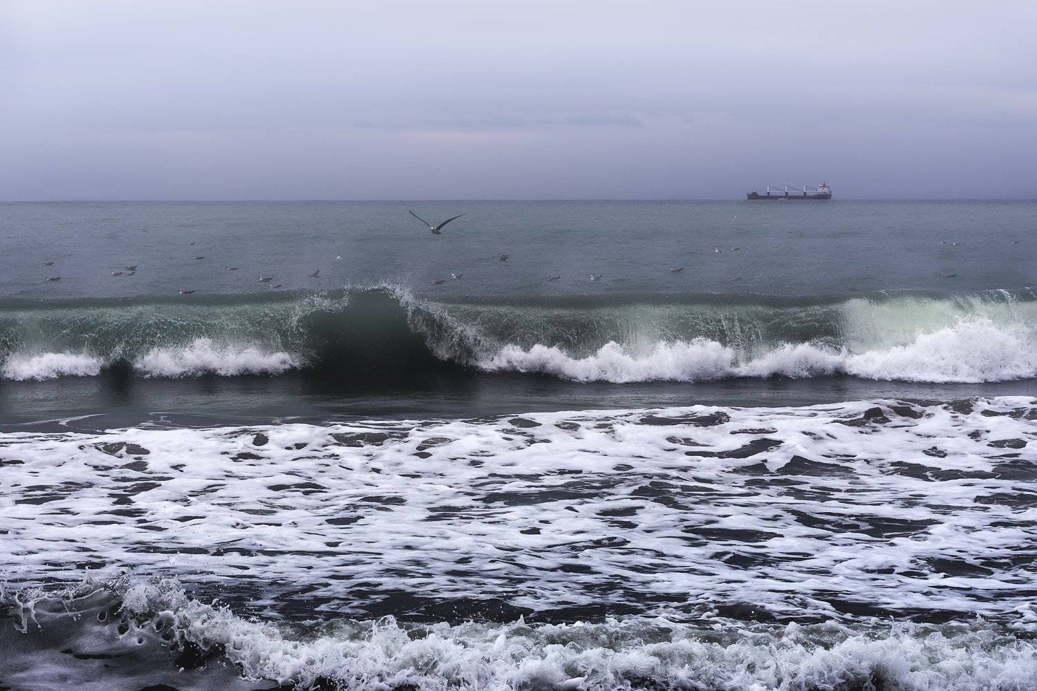 море осень волны птицы, Ра Вера