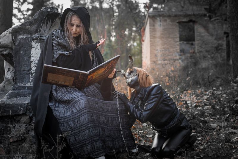 О питомцах фото превью